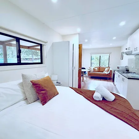 Big4 Tasman Holiday Parks - Bright Room photo